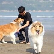 卓航mexii