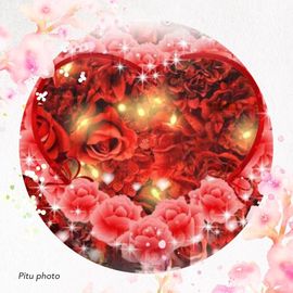 【大S】主播照片