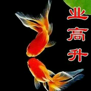 家和万事兴ng$主播照片