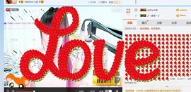 一只雁~主播照片