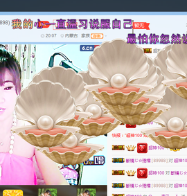 一只雁~主播照片