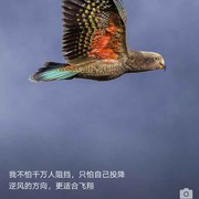 狼若回头，不是报冤就