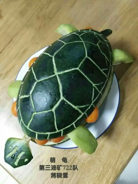 海豚722533的主播照片