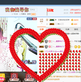 一只雁~主播照片