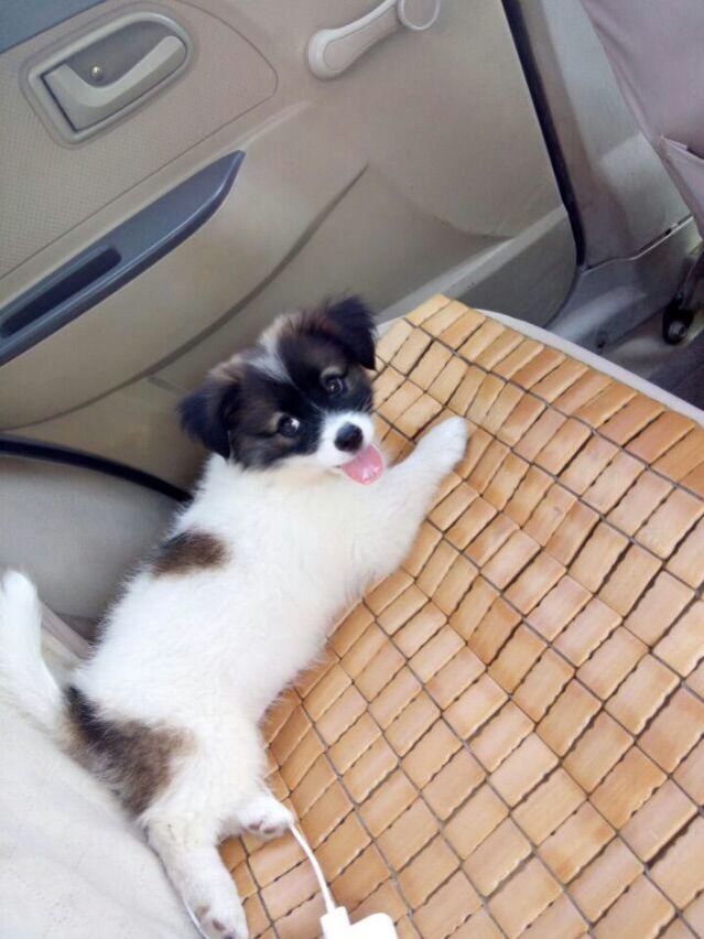 ^舒雅^主播照片