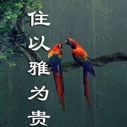 浪子brm海报