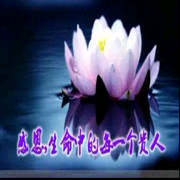 陪伴√长情的告白主播照片