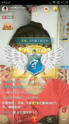 海鸽晚上晚会播主播照片