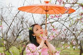 诗妍💞佛系主播照片