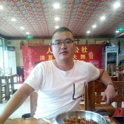自由自在c!海报