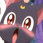 @!主人