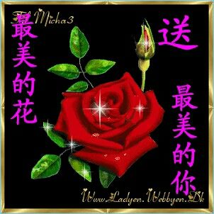 天使守护者溪风的主播照片