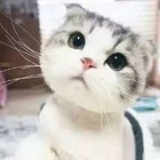 你的情哥哥1