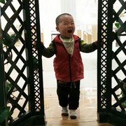 DAN1海报
