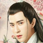 鸽子不走路海报