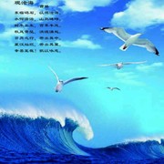 澎湃的海o