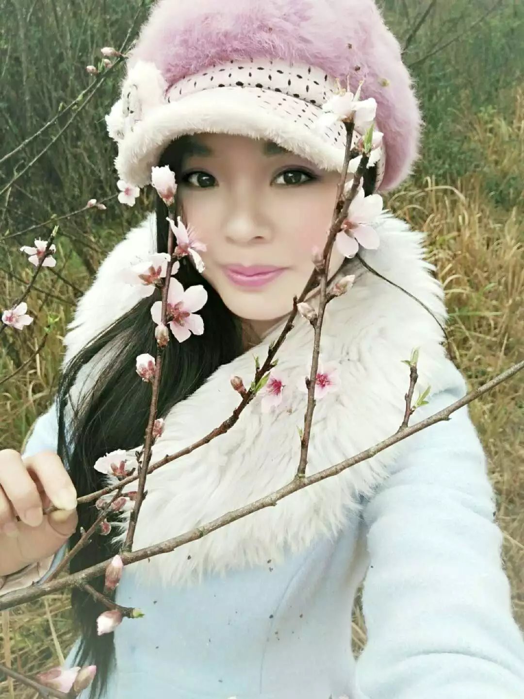 恐龙路线的图片