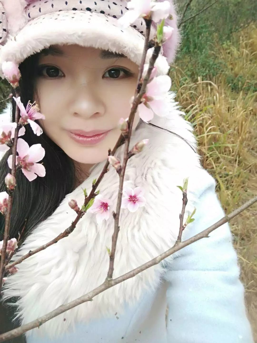 恐龙路线的图片
