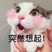 林同学家的小仙女的头像
