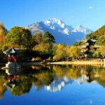 一个关注你的哥哥海报