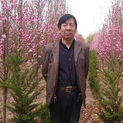 蓝天白云易视康国家专