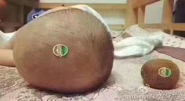 茶韵🍃主播照片