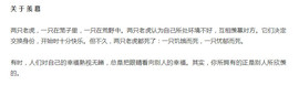 翠被冷落凄余馨主播照片