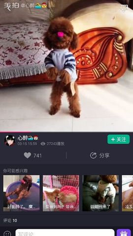 ✨媳婦⭐求🌙帶走✨主播照片