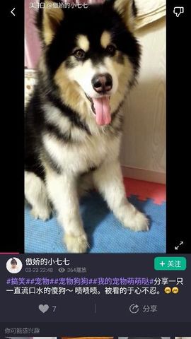 ✨媳婦⭐求🌙帶走✨主播照片