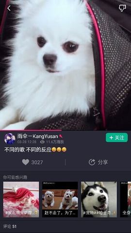 ✨媳婦⭐求🌙帶走✨主播照片
