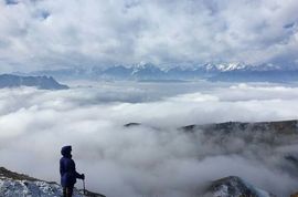 飞_来_峰主播照片