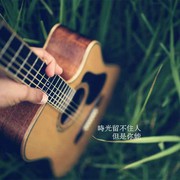 民谣小鸟