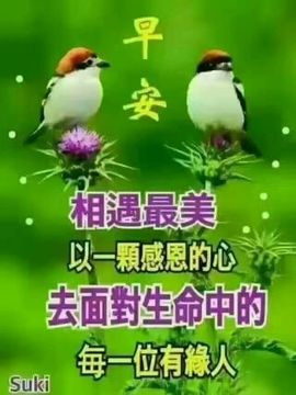 木稳稳761837主播照片