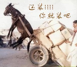 静远~主播照片