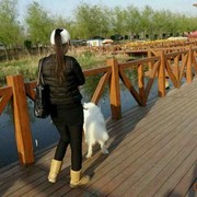 ★★无奈★★*
