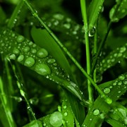 张永伦