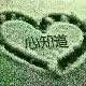 丹丹求守护主播照片