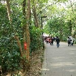 吾生吾死