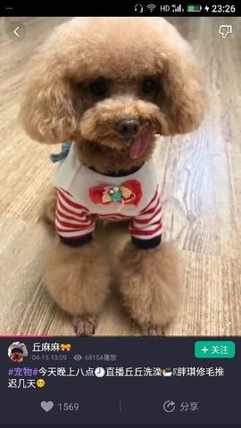 ✨媳婦⭐求🌙帶走✨主播照片