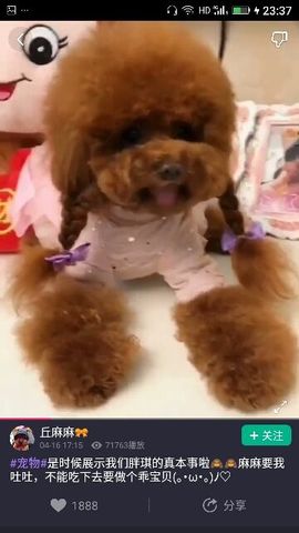 ✨媳婦⭐求🌙帶走✨主播照片