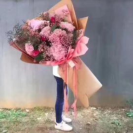 ღ哈喽～主播照片
