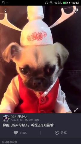 ✨媳婦⭐求🌙帶走✨主播照片