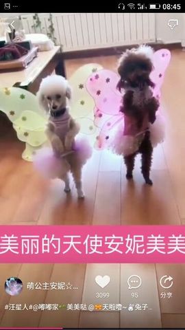 ✨媳婦⭐求🌙帶走✨主播照片