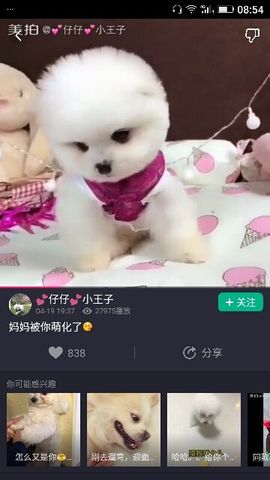 ✨媳婦⭐求🌙帶走✨主播照片