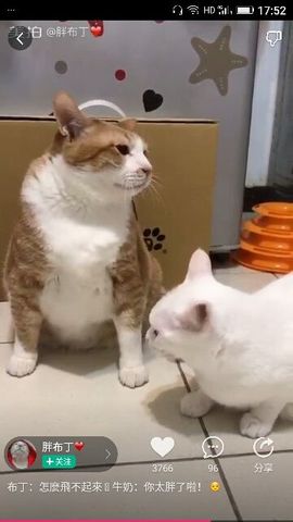 ✨媳婦⭐求🌙帶走✨主播照片