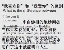 宝宝的男神主播照片