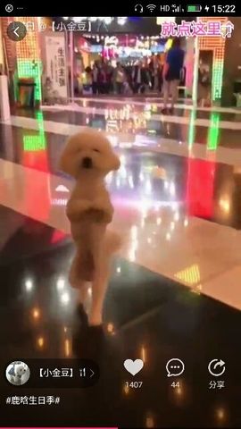 ✨媳婦⭐求🌙帶走✨主播照片