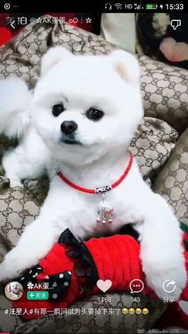 ✨媳婦⭐求🌙帶走✨主播照片