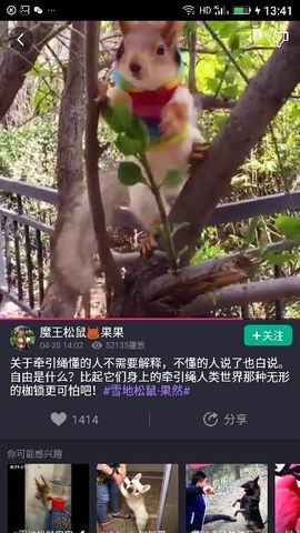 ✨媳婦⭐求🌙帶走✨主播照片