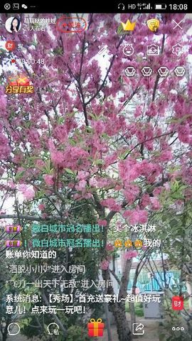 ✨媳婦⭐求🌙帶走✨主播照片